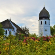 white and brown concrete cathedral surrounded by flower garden